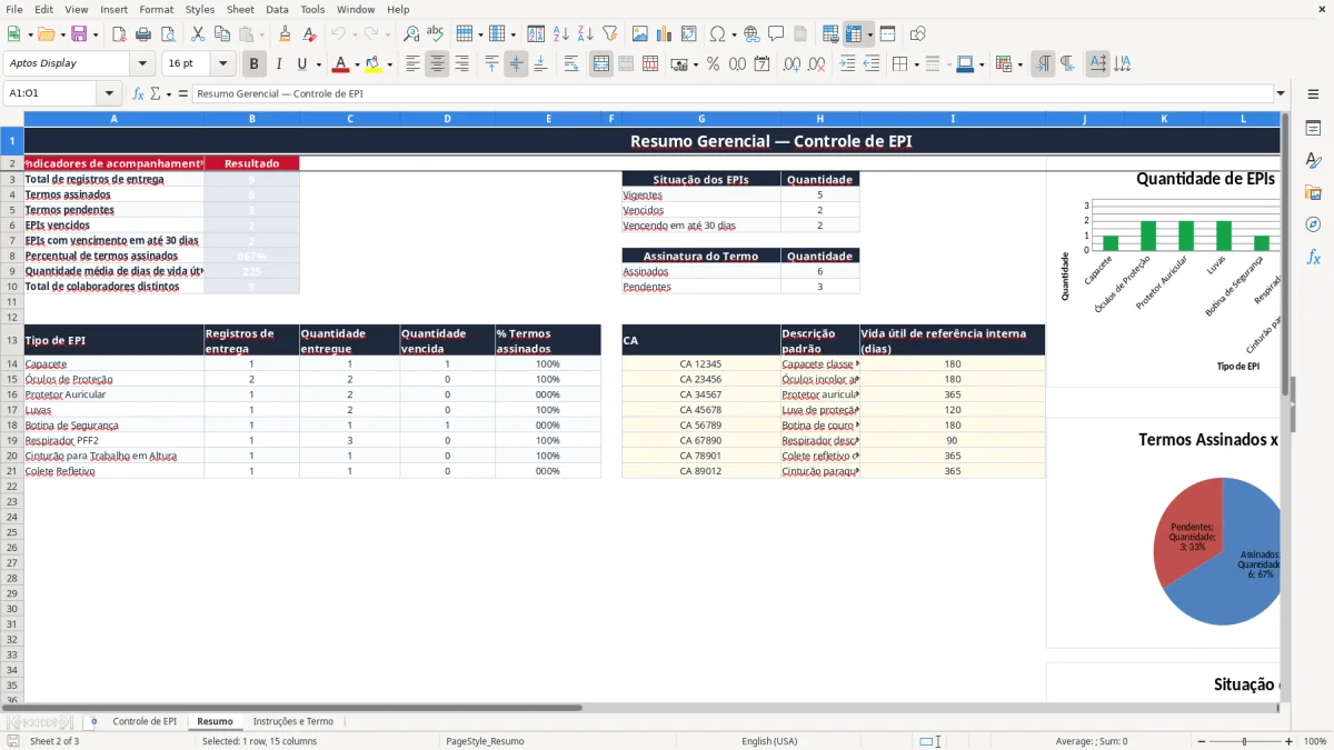 Captura 2: aba Resumo - Planilha Excel planilha de termo de responsabilidade de epi excel